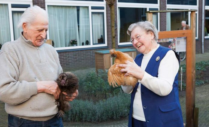 natuur verhoogt welzijn oueren