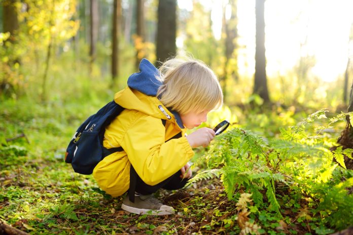 Preschooler boy is exploring nature with magnifying glass. Little child is looking on leaf of fern with magnifier. Summer vacation for inquisitive kids in forest. Hiking. Boy-scout Vertragen bij complexe gezinnen, vast contactpersoon