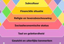 8 dingen die je moet weten over het vernieuwde diversiteitsvlechtwerk diversiteitsvlechtwerk Movisie